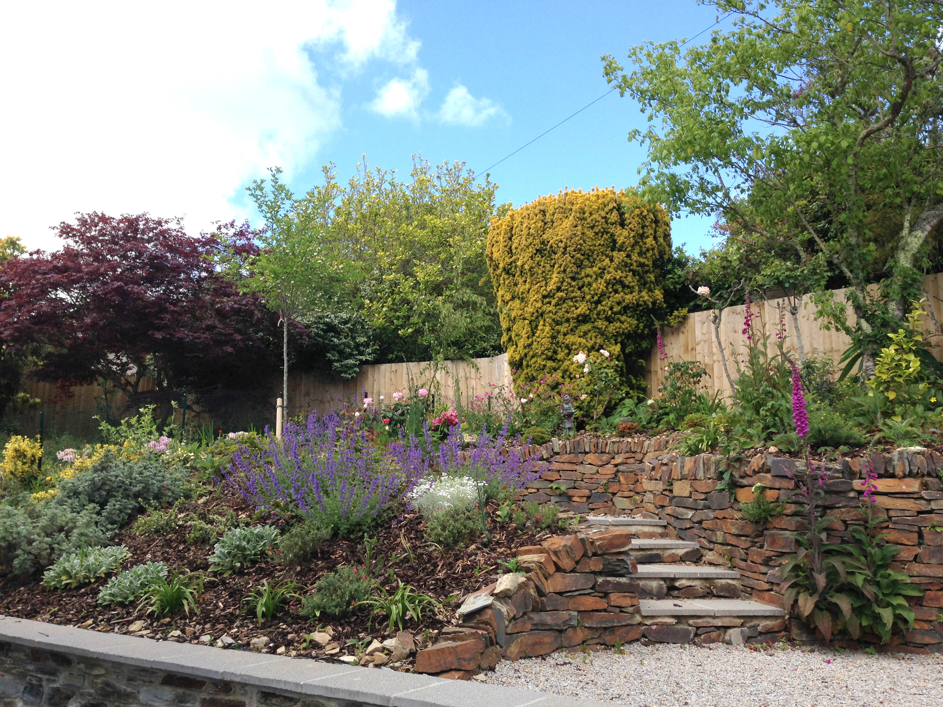 View after rear gardens were planted